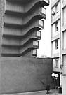 [venez voir cette photo n 1951)]